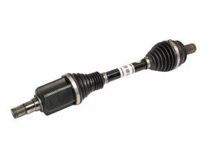 Dešinė priekinė pusašis