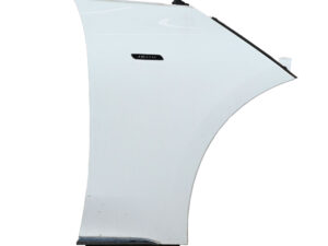 Dešinysis priekinis sparnas